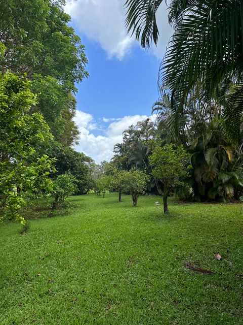 Tiny photo for Halaulani Rd, Kilauea, HI 96754 (MLS # 724487)