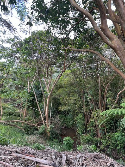 Tiny photo for Halaulani Rd, Kilauea, HI 96754 (MLS # 724487)