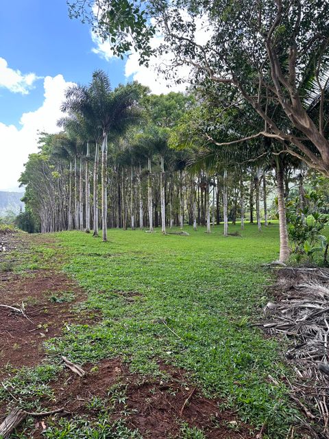 Tiny photo for Halaulani Rd, Kilauea, HI 96754 (MLS # 724487)