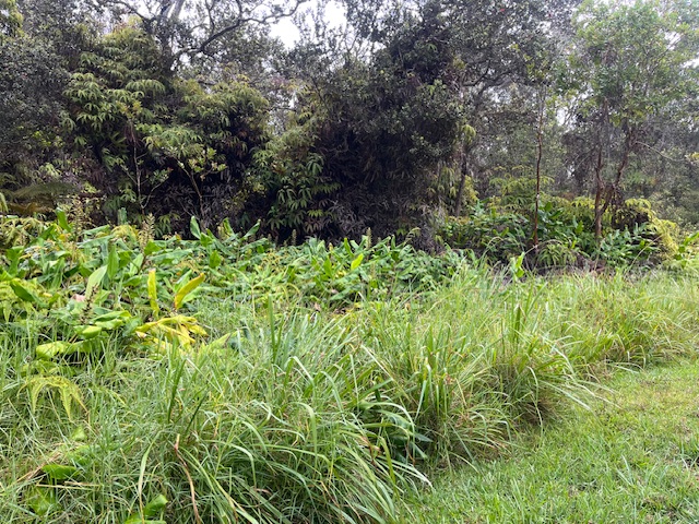 Photo 1 of 6 — Volcano, HI 96785