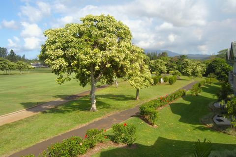 Tiny photo for 4141 Lei O Papa Rd #3, Princeville, HI 96722 (MLS # 726919)