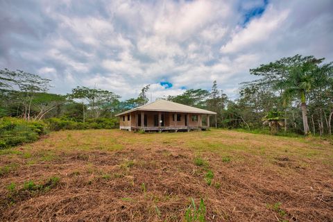 Photo of 16-1624 Pulelehua Rd, Kurtistown, HI 96760 (MLS # 726185)
