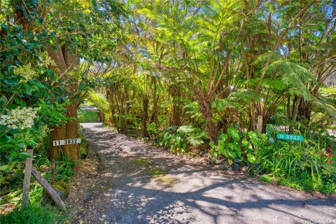 Photo of 11-3832 2nd St, Volcano, HI 96785 (MLS # 734652)