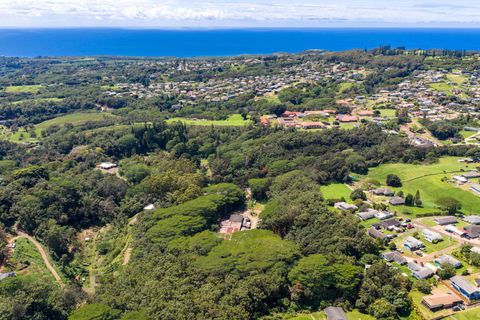 Tiny photo for 2-2741 Kaumualii Hwy, Kalaheo, HI 96741 (MLS # 725689)