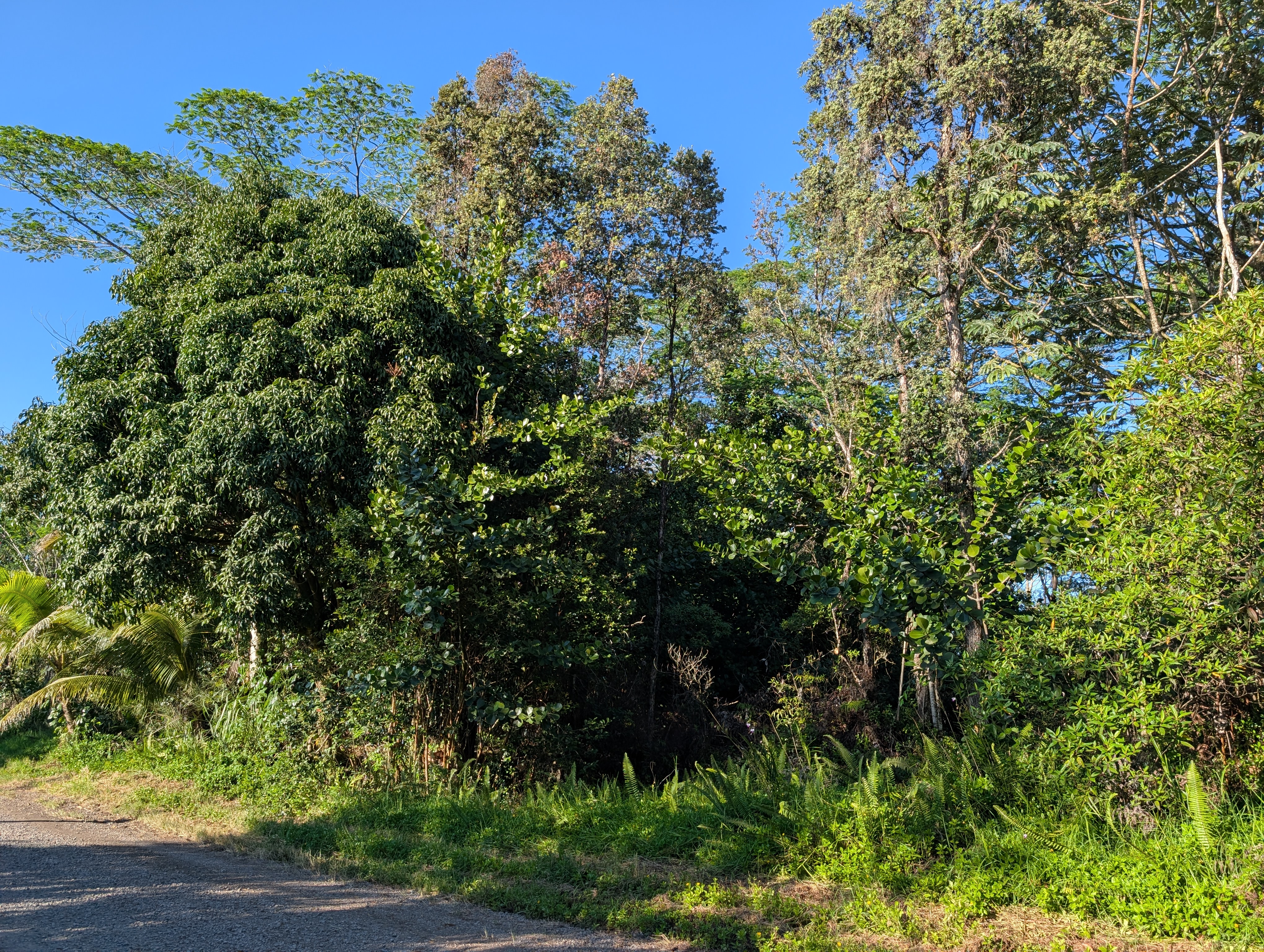 Photo 1 of 17 — 8TH AVE, Keaau, HI 96749
