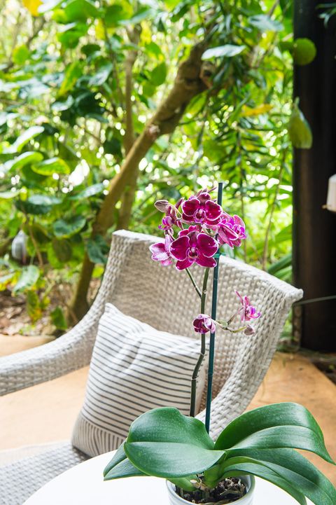 Tiny photo for 3920 Wyllie Rd #9A, Princeville, HI 96722 (MLS # 716908)