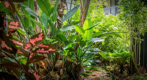 Tiny photo for 3920 Wyllie Rd #9A, Princeville, HI 96722 (MLS # 716908)