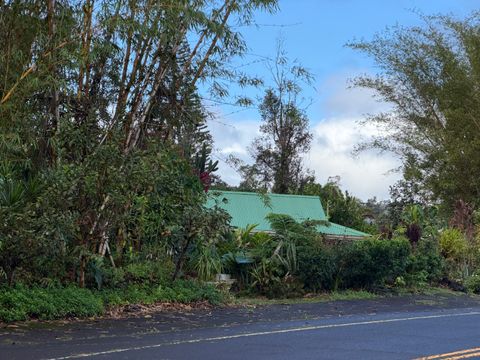 Photo of 1379 Mele Manu St, Hilo, HI 96720 (MLS # 718089)