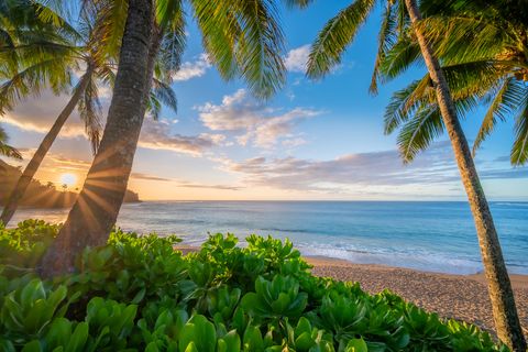 Tiny photo for 5-7834 Kuhio Hwy, Hanalei, HI 96714 (MLS # 729540)