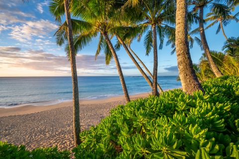 Tiny photo for 5-7834 Kuhio Hwy, Hanalei, HI 96714 (MLS # 729540)