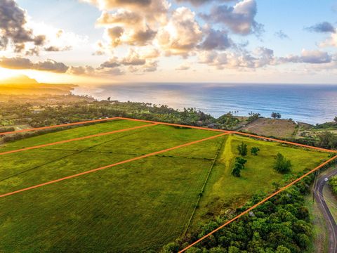 Tiny photo for Kauapea Rd, Kilauea, HI 96754 (MLS # 726129)