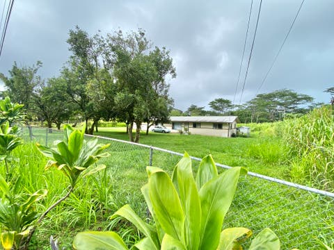 Photo of 15-1669 21st Ave (Mikana), Keaau, HI 96749 (MLS # 731283)