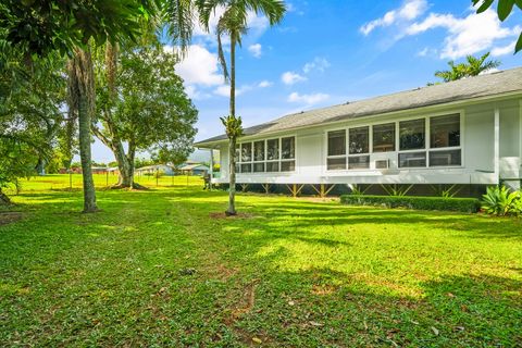 Tiny photo for 6161 Holio Rd, Kapaa, HI 96746 (MLS # 726282)