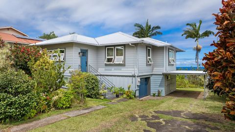 Photo of 36-136 Manowaiopae Homestead Rd, Laupahoehoe, HI 96764 (MLS # 724136)
