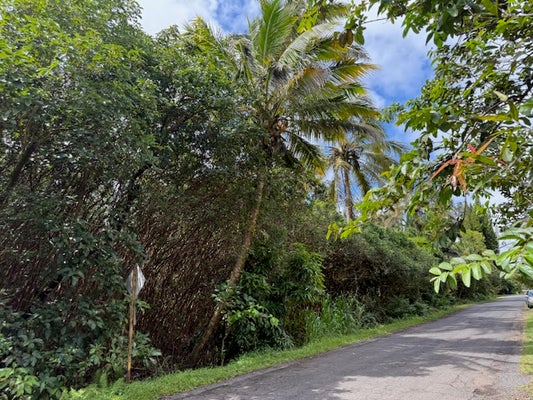 12-4293 OCEAN VIEW PKWY, PAHOA, HI 96778 - Image b372f0d3633e3ba58d3cded05ca4e163/685325457