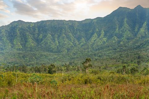 Tiny photo for 2818 Kamookoa Rd #5, Kilauea, HI 96722 (MLS # 719312)