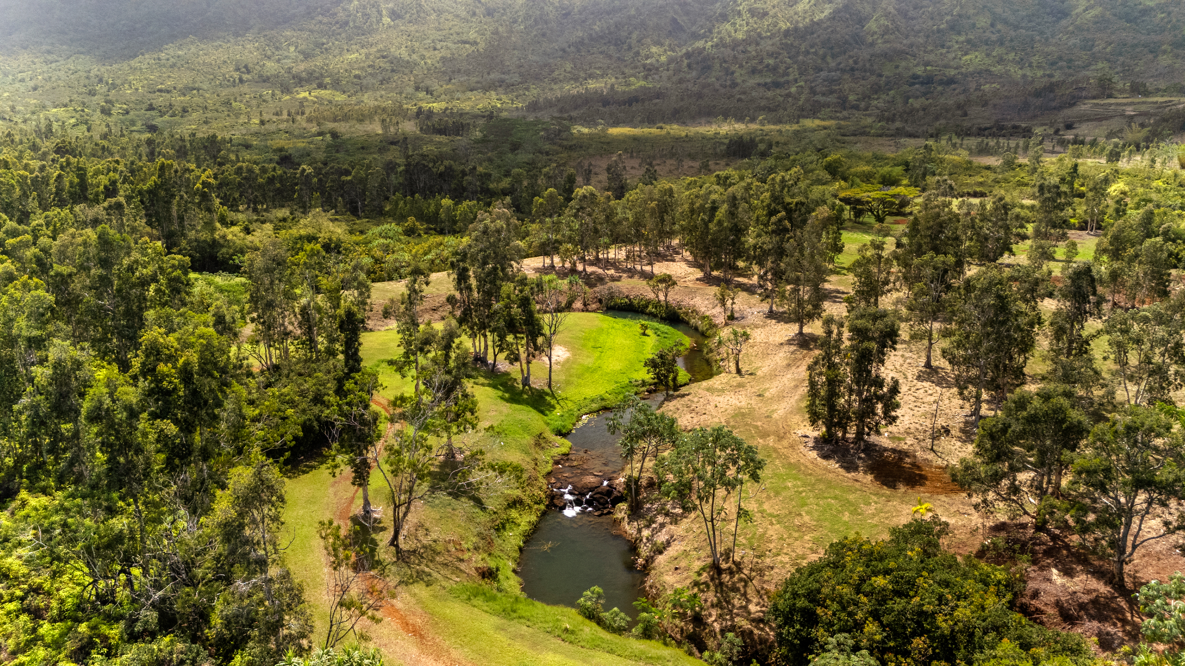 2812 KAMOOKOA RD 5