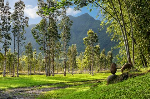 Tiny photo for 2818 Kamookoa Rd #5, Kilauea, HI 96722 (MLS # 719312)