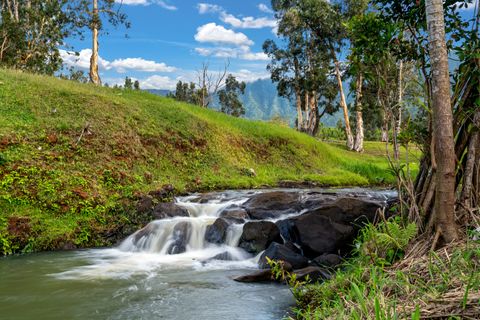 Tiny photo for 2818 Kamookoa Rd #5, Kilauea, HI 96722 (MLS # 719312)