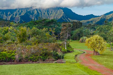 Tiny photo for 2818 Kamookoa Rd #5, Kilauea, HI 96722 (MLS # 719312)