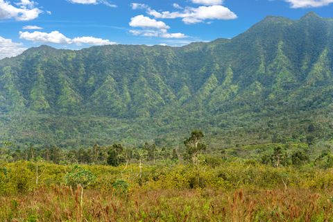 2812 KAMOOKOA RD 5 Kilauea HI 96722