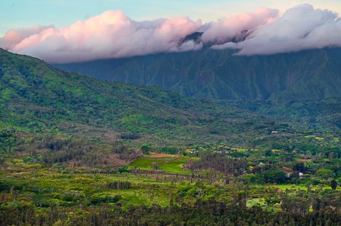 Tiny photo for 2818 Kamookoa Rd #5, Kilauea, HI 96722 (MLS # 719312)