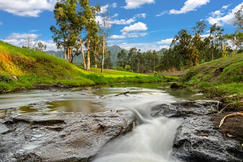 Tiny photo for 2818 Kamookoa Rd #5, Kilauea, HI 96722 (MLS # 719312)