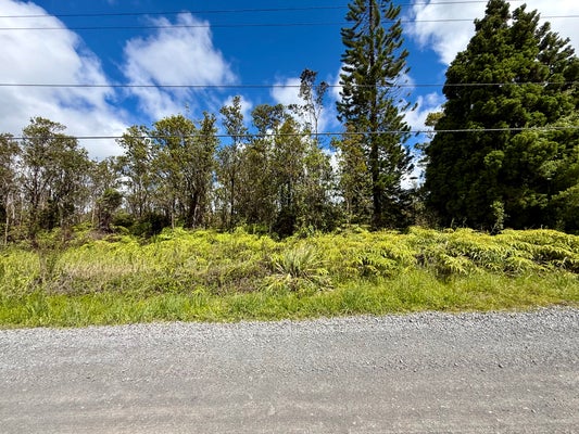 112099 KALEPONI RD, MOUNTAIN VIEW, HI 96771 - Image b63b4f46c8e97f801e9e3aa113dbefcc/3615002704