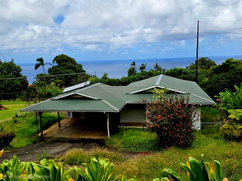Photo of 36-2380 Puualaea Homestead Rd, Laupahoehoe, HI 96764 (MLS # 731660)