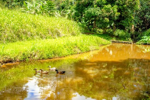 Tiny photo for Olohena Rd #3, Kapaa, HI 96746 (MLS # 720314)