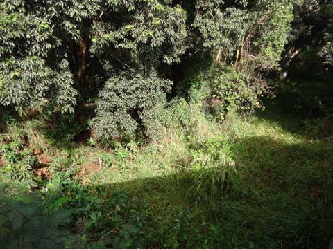 Tiny photo for 4460 Ikena Pl #35, Kalaheo, HI 96741 (MLS # 726567)