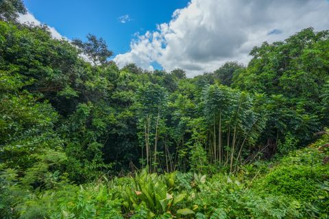 Tiny photo for 5301 Ka Haku Rd #101, Princeville, HI 96722 (MLS # 728943)