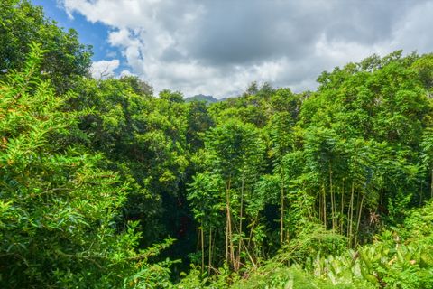 Tiny photo for 5301 Ka Haku Rd #101, Princeville, HI 96722 (MLS # 728943)