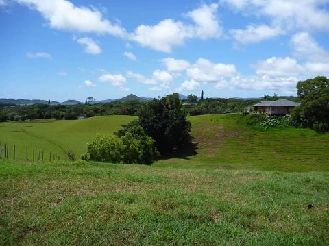 Photo of Kipapa Rd #LOT 159-A-3, Kapaa, HI 96746 (MLS # 728998)