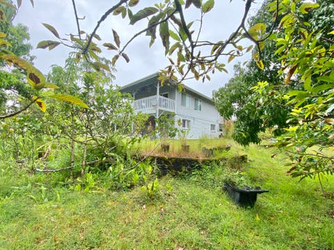 Photo of 15-1634 Beach Rd, Keaau, HI 96749 (MLS # 732146)