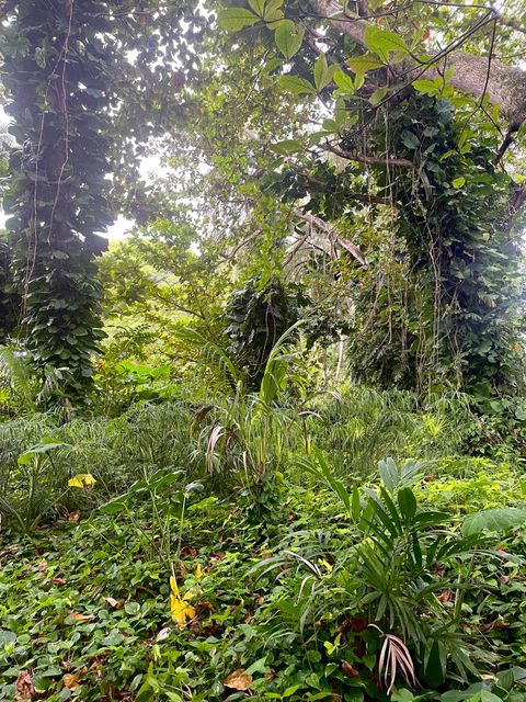 Tiny photo for 5-7235 Kuhio Hwy, Hanalei, HI 96722 (MLS # 725151)