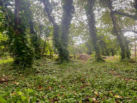 Tiny photo for 5-7235 Kuhio Hwy, Hanalei, HI 96722 (MLS # 725151)