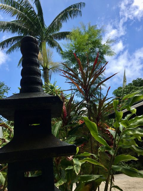 Tiny photo for 3198 Wawae Rd, Kalaheo, HI 96741 (MLS # 729518)