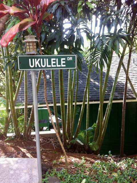 Tiny photo for 3198 Wawae Rd, Kalaheo, HI 96741 (MLS # 729518)