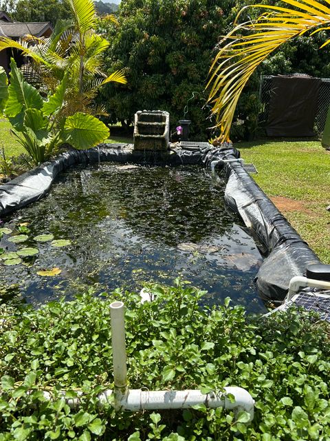 Tiny photo for 6670-G Kahuna Rd #2, Kapaa, HI 96746 (MLS # 729418)