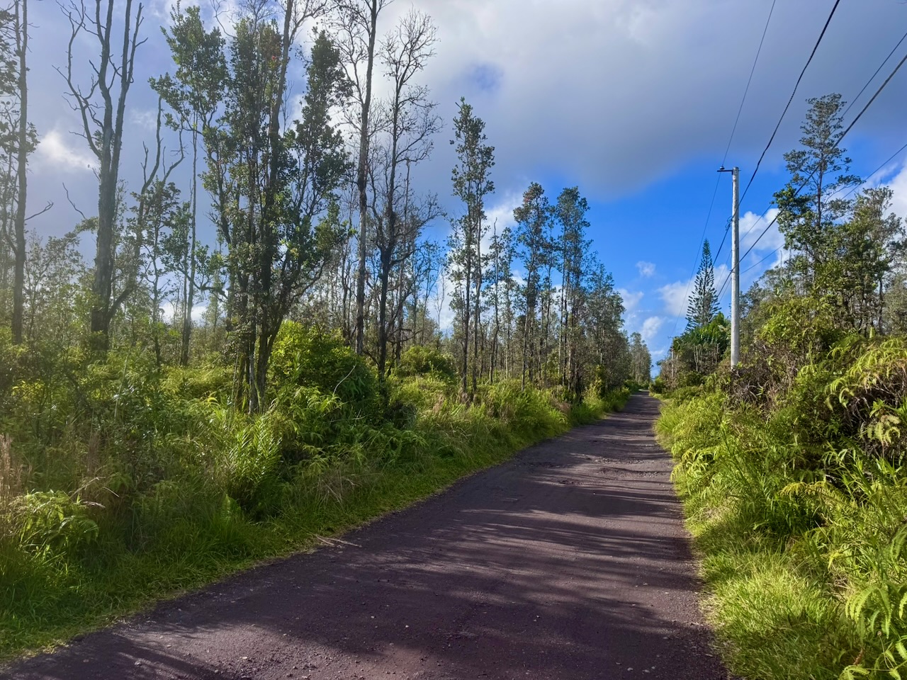 Looking north on Opeapea towards Ale Rd. Subject property is on the left.