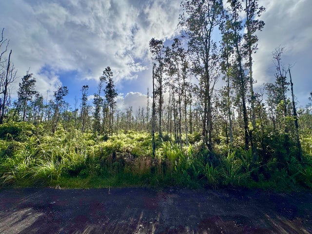 ROAD 7 (OPEAPEA)