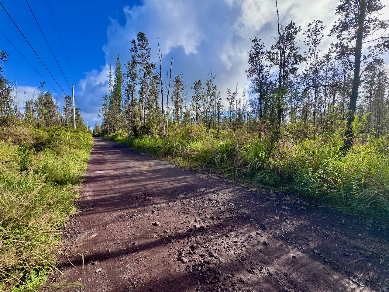 Looking south on Opeapea towards Wao Kele Rd. Subject property is on the right.