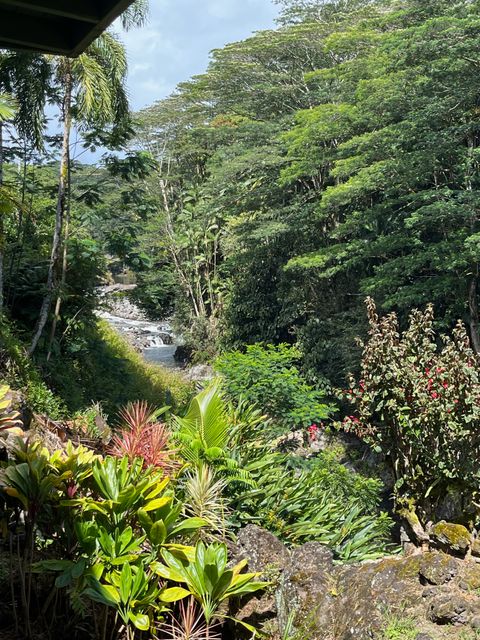 Photo of 254 Kaiulani St, Hilo, HI 96720 (MLS # 721442)