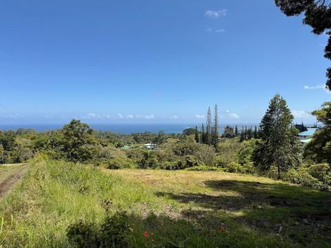 Photo of 1951 Kaiwiki Rd, Hilo, HI 96720 (MLS # 725328)