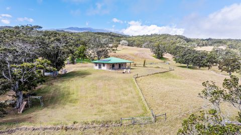 Photo of 42-1467 Kalapahapuu Rd, Paauilo, HI 96776 (MLS # 722440)