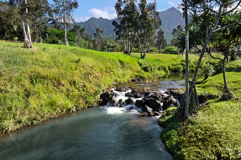 Tiny photo for 2818 Kamookoa Rd #3, Kilauea, HI 96722 (MLS # 719313)