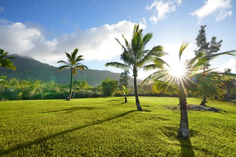 Tiny photo for 2818 Kamookoa Rd #3, Kilauea, HI 96722 (MLS # 719313)