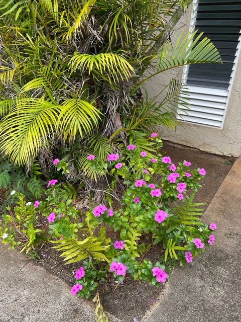 Tiny photo for 4461 Kamoa Rd #D12, Kapaa, HI 96746 (MLS # 726003)