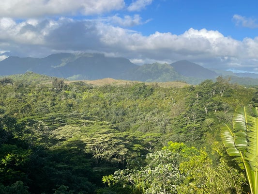 5250 D KAHILIHOLO RD, KILAUEA, HI 96754 - Image c866b4b32e6f73cb8b1df4e7841fe724/2398079588